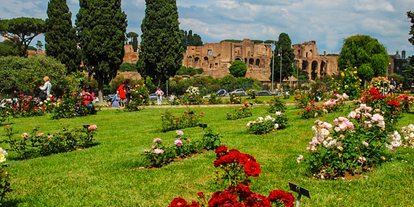 Rome's Roseto Comunale rose garden