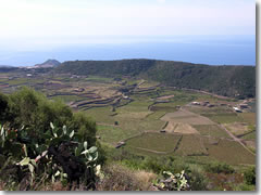 The fields of Pantelleria