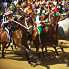 The Palio horse race