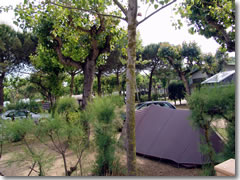 Camping Miramare, Punta Sabbioni, Venice